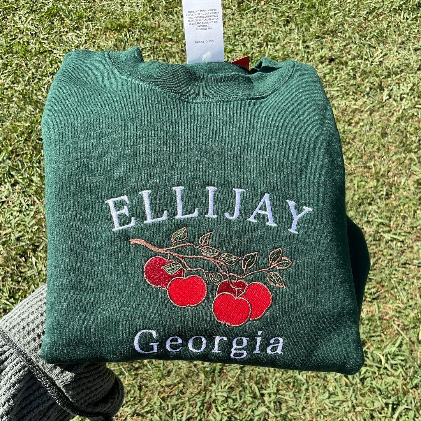 Ellijay Georgia Embroidered Crewneck